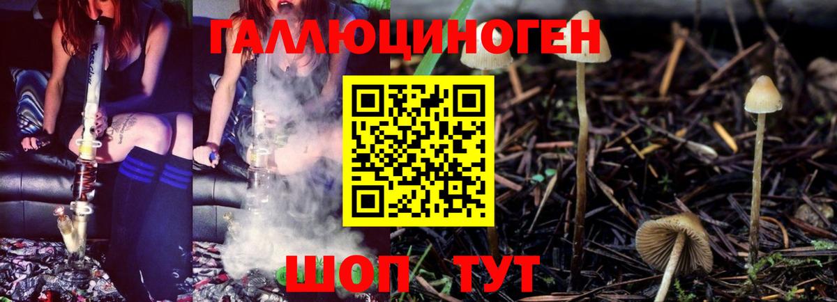 Аксай  Псилоцибиновые грибы GOLDEN TEACHER  Вход с VPN 