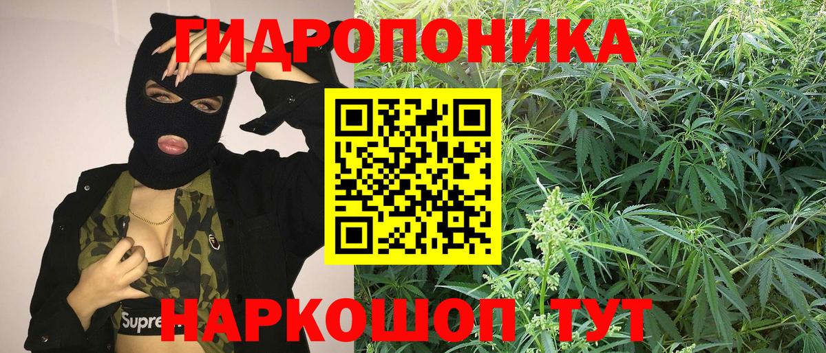 Каннабис марихуана Аксай
